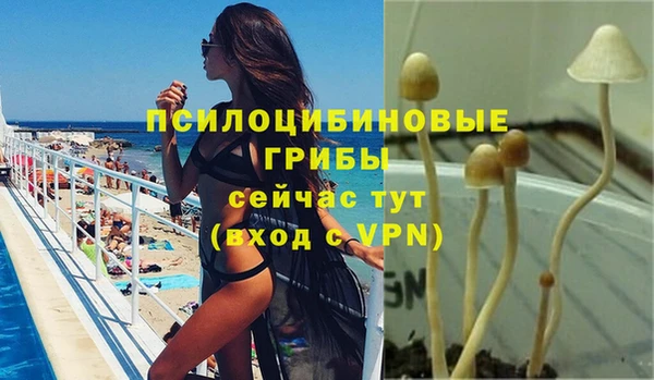 экстази Богданович